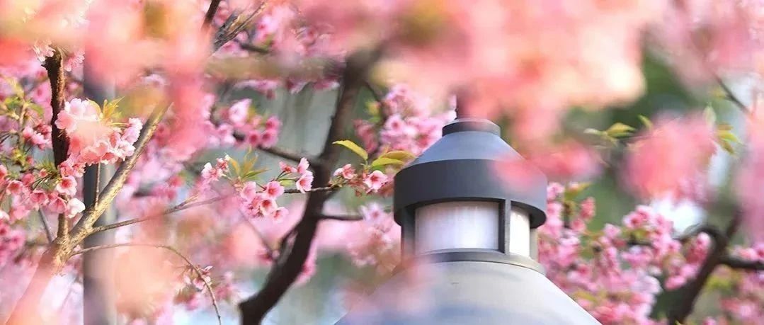 致敬了不起的她 | 眼中有光，心中有夢，世界因您而更美